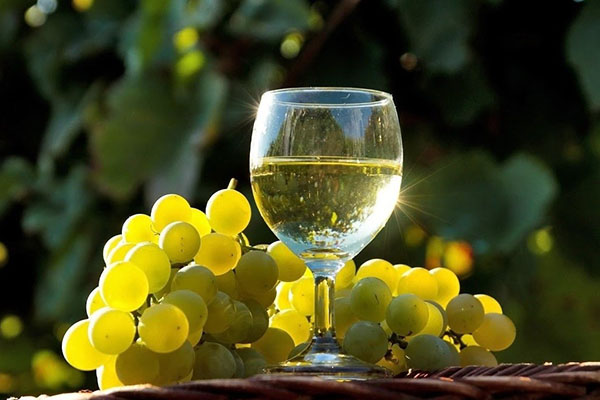 біле виноградне вино