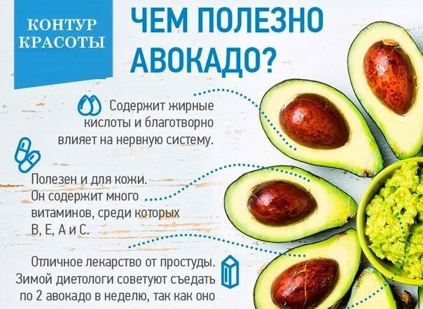 Чимось корисний-авокадо-Протипоказання-і-корисні-властивості-авокадо-8