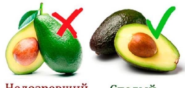 Чимось корисний-авокадо-Протипоказання-і-корисні-властивості-авокадо-11