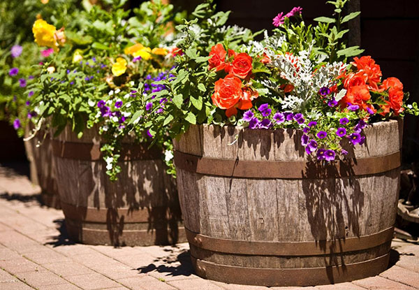 дерев'яні діжки для садових квітів