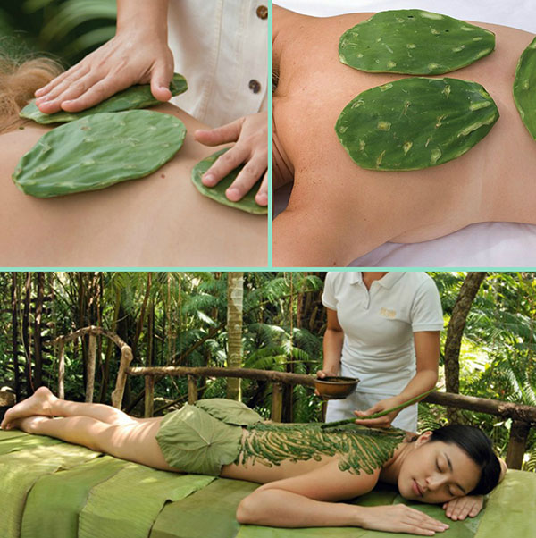 лікувальний масаж з кактусом