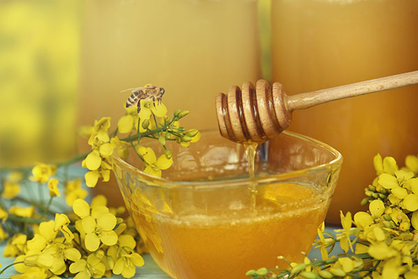 ріпаковий мед користь і шкода