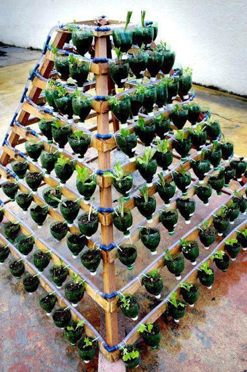 піраміда з пластикових пляшок