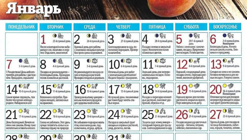 Місячний посівний календар для садівників, городників, квітникарів на січень 2019 - таблиця