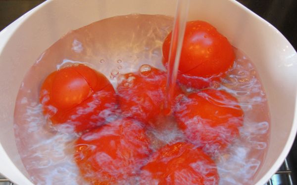 Підготовка помідор до закатку