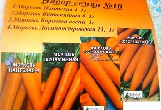 сорту моркви під зиму