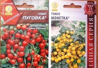 Як виростити томати на підвіконні