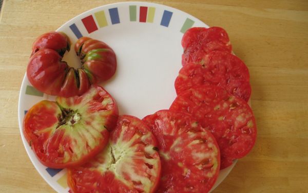 Чому помідори всередині білі і жорсткі