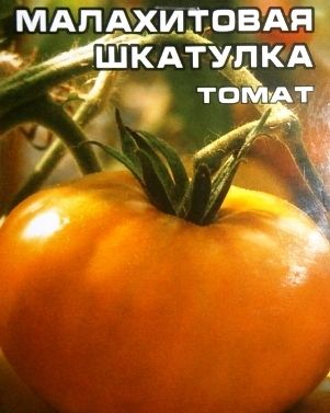 сорту томатів для Уралу