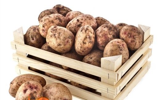 зберігання картоплі