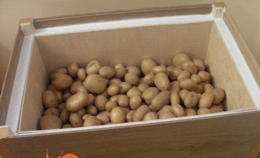 картопля в ящику на балконі