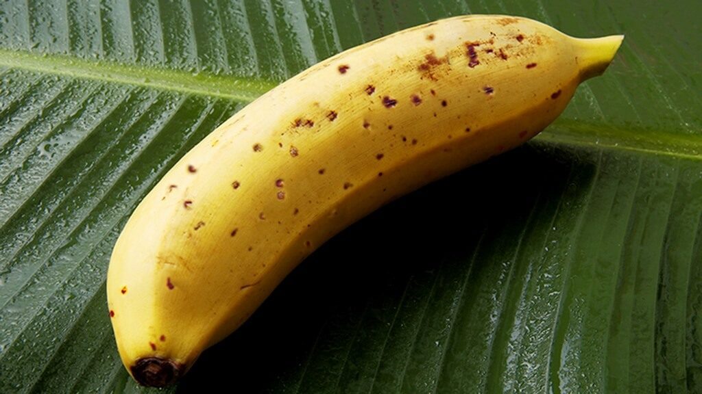 сушка бананів