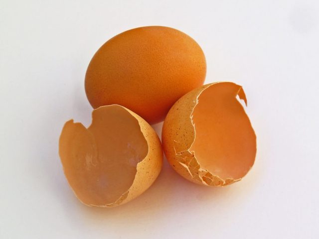 Яєчна шкаралупа